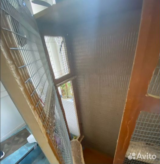 Самодельная клетка с шиншиллой