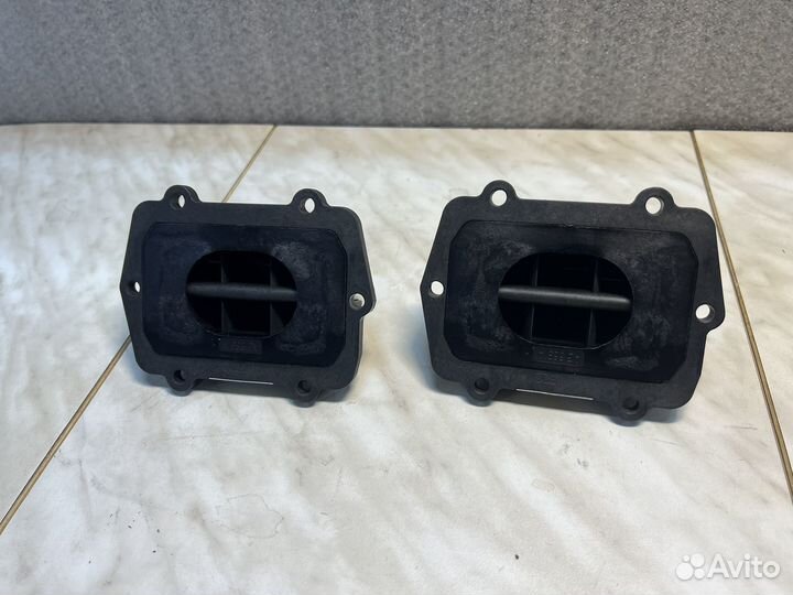 Клапана лепистковые brp summit 600