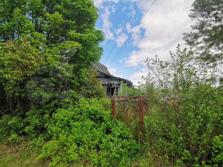 Участок 6 сот. (СНТ, ДНП)