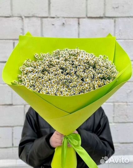 Букеты. Доставка ромашек