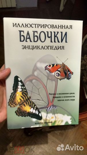 Ландман В. Бабочки. Иллюстрированная энциклопедия