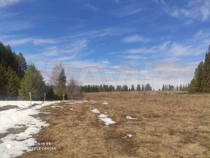 Участок 6 га (СНТ, ДНП)