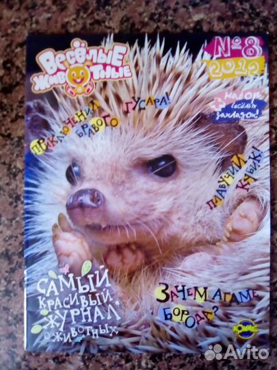 Веселые животные