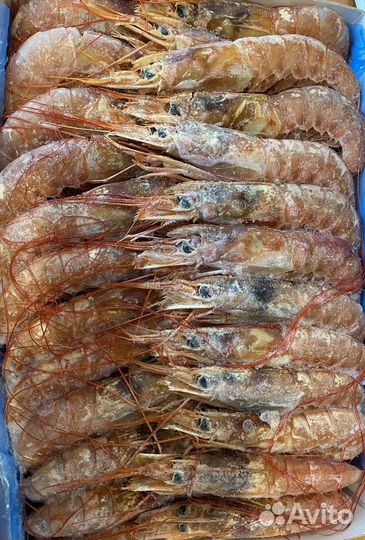 Рыба и морепродукты