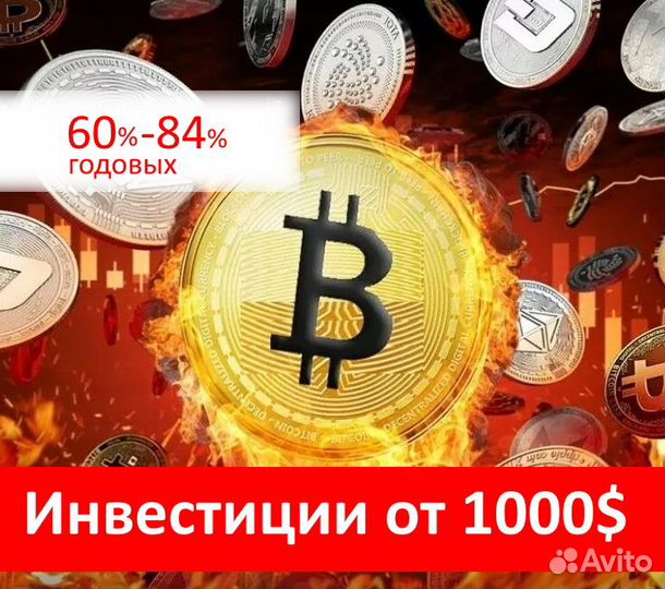 84 процента годовых Ищу инвестора