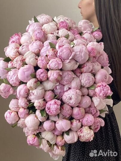 Пионы букет