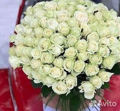 Высокие розы Гигантские розы Доставка цветов