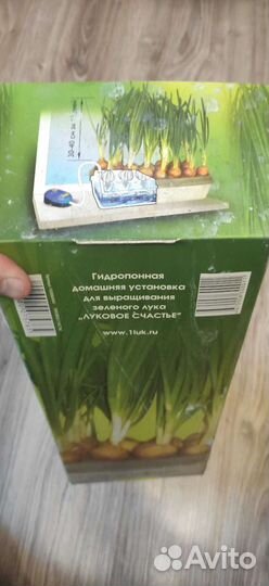 Установка для выращивания лука