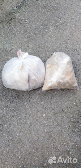 Собачья шерсть