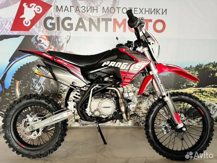 Progasi 125