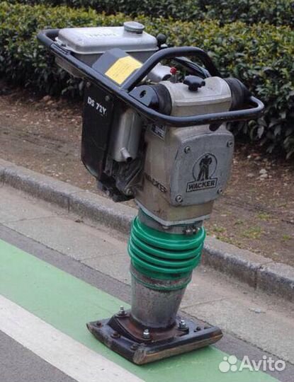 Вибротрамбовка Шлепнога Прокат