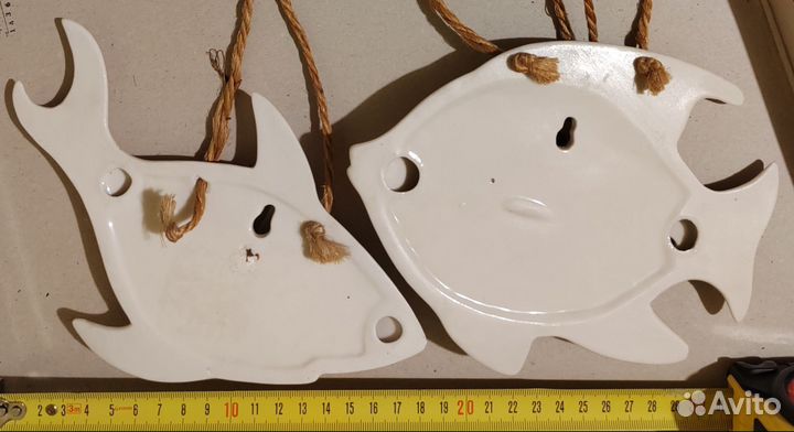 Рыбы, морские коньки