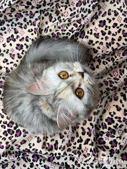 Любые ткани