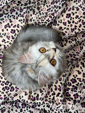 Любые ткани