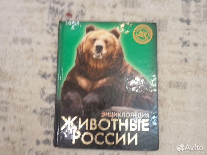 Журнал и книга