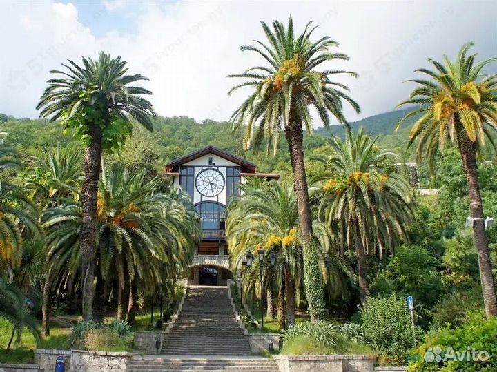 Экскурсия в Абхазию: Гагра, Рица, Новый Афон и Пиц