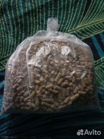 Корм для грызунов бесплатно