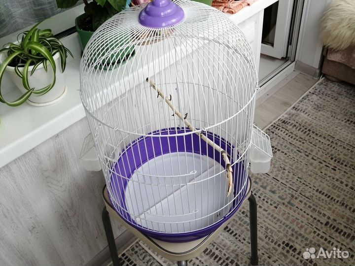 Клетка для птиц