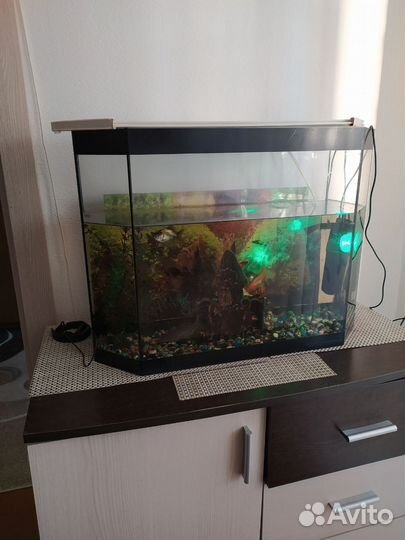 Аквариум