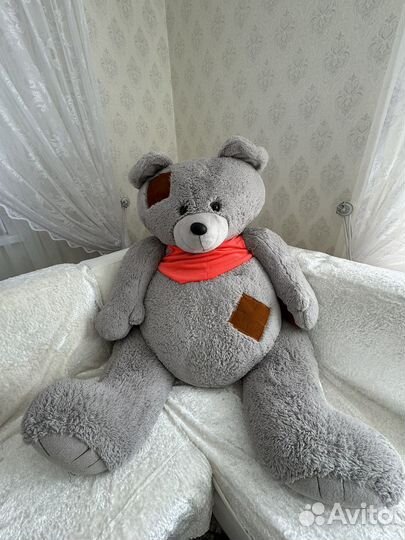 Отдам подарю бесплатно