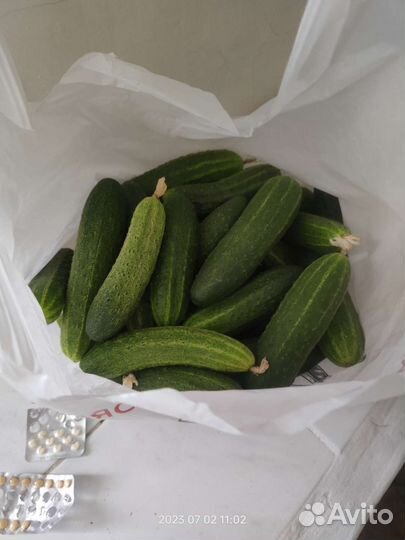 Огурцы Помидоры кабачки домашние