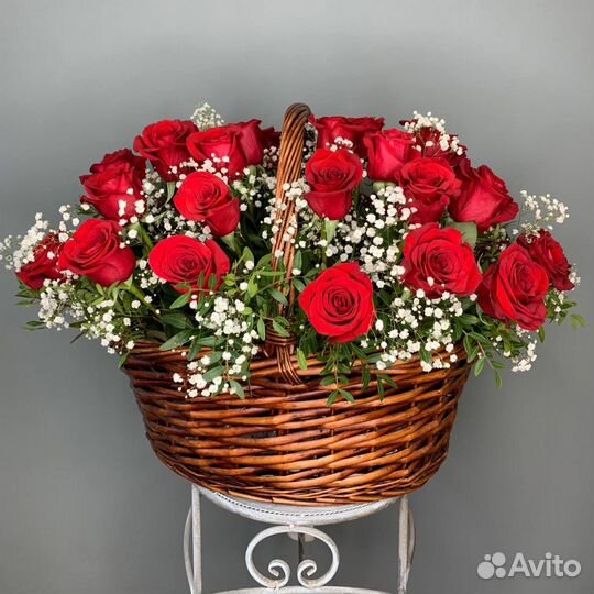 Шикарная красная роза