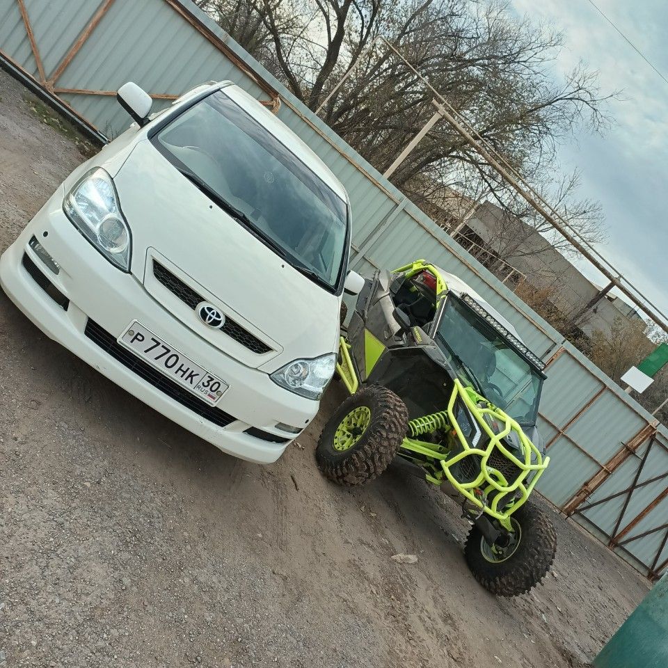 Toyota Ipsum: фото владельца