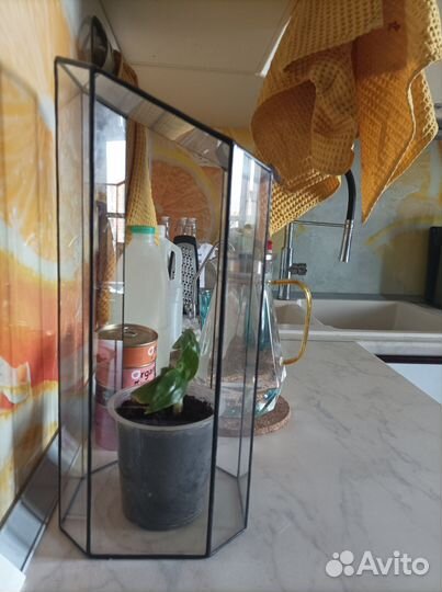 Формы для флорариума