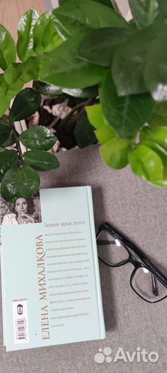 Книга Е.Михалкова 