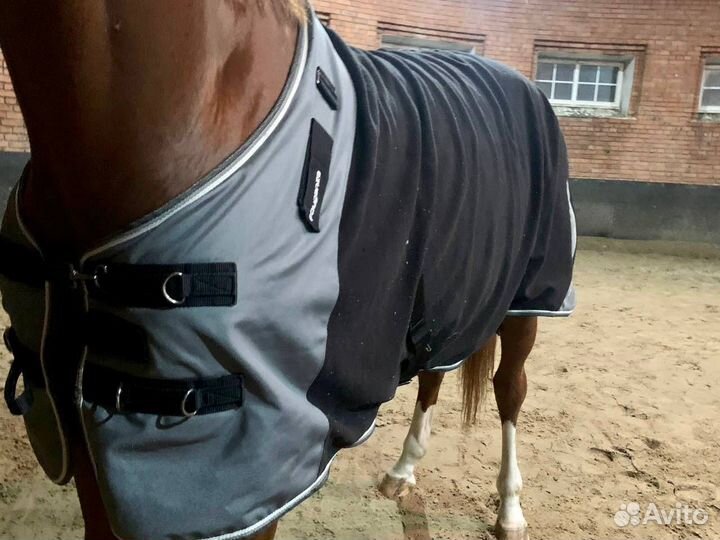 Попона флисовая для лошади 145р. Fouganza