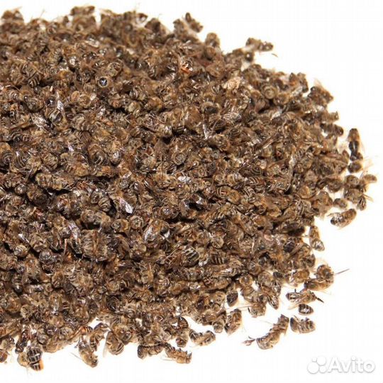 Пчелиный прополис