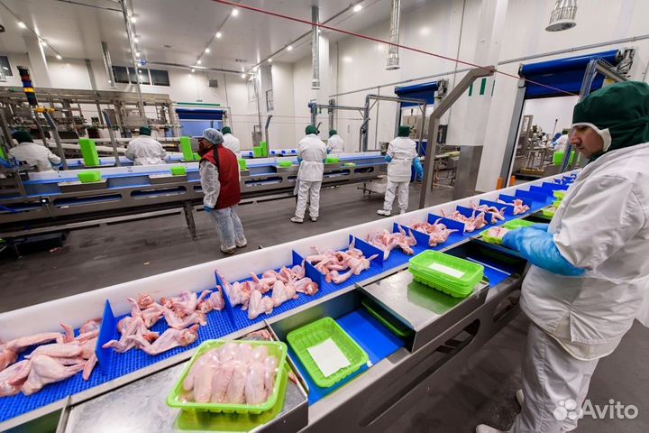Вахта в Челябинской области.Фасовщики(цы) курицы