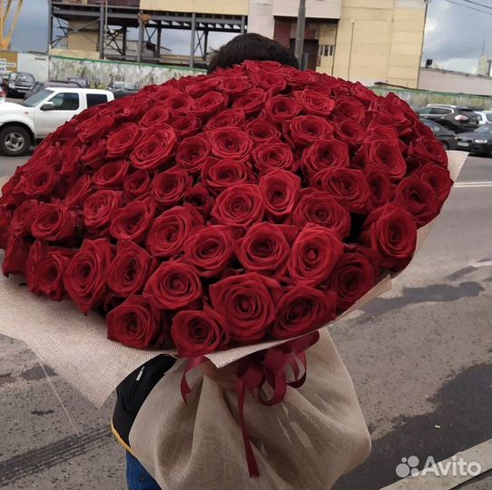 101 роза 51 роза Цветы