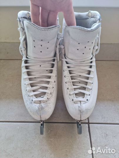 Фигурные коньки edea chorus 235