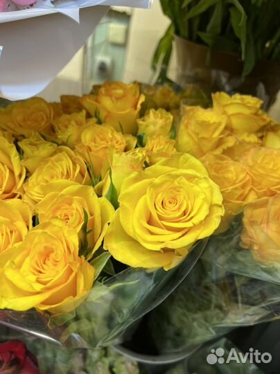 Роза желтая Крымская