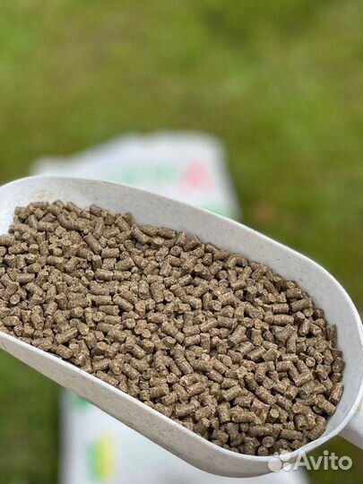 Корм для форели, осетра, теляпии, сома