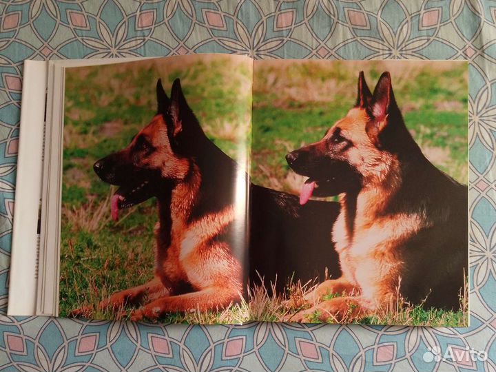 Немецкая овчарка