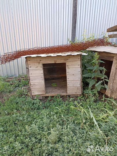 Собачья будка