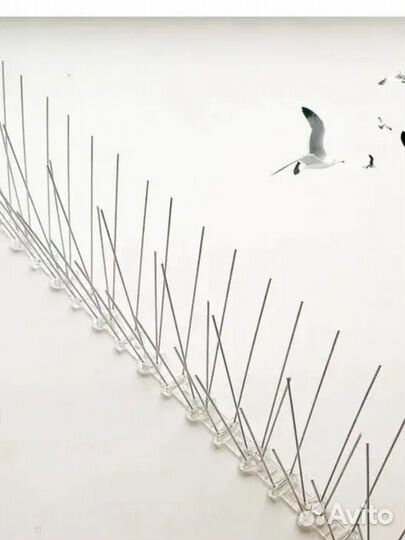 Шипы противоприсадные для отпугивания птиц Барьер