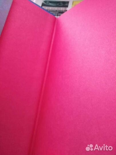 Девушка во льду - книга