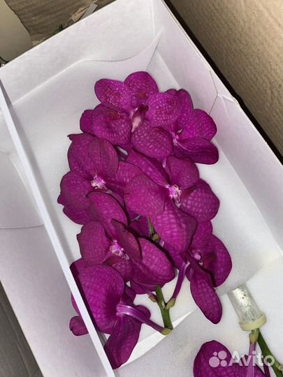 Букет орхидей
