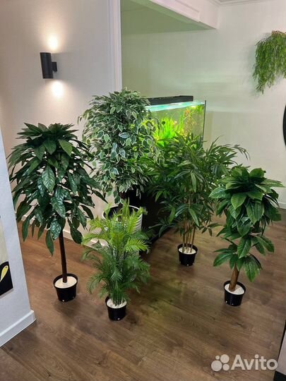 Искусственные деревья / Бамбук / Фитокартина Уфа