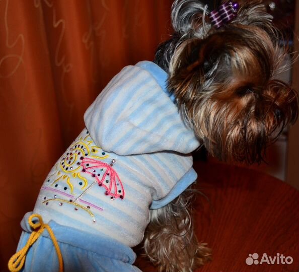 Платье для йорка собаки собачки
