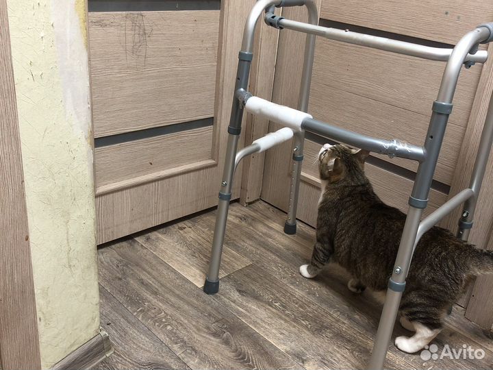 Ходунки для взрослых новые доставка