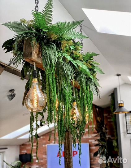 Озеленение потолка