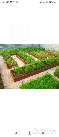 Высокие грядки из дерева