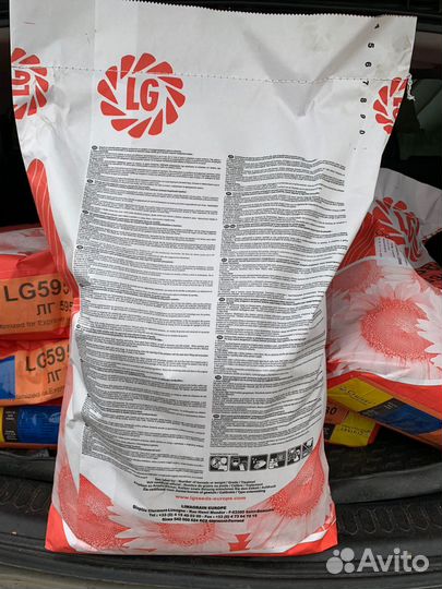 Семена подсолнечника Лимогрейн 59580 