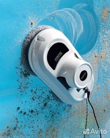 Аренда роботы мойщики окон Hobot