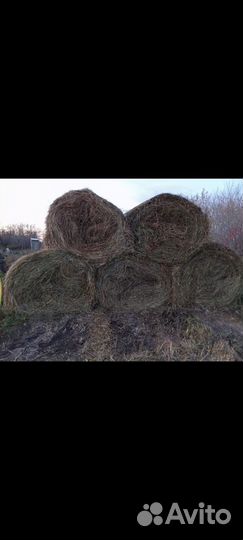 Сено в тюках