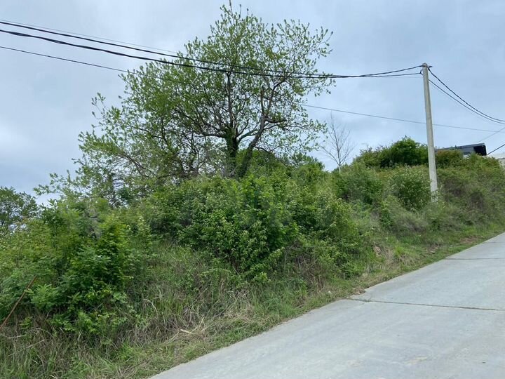 Участок 10 сот. (СНТ, ДНП)